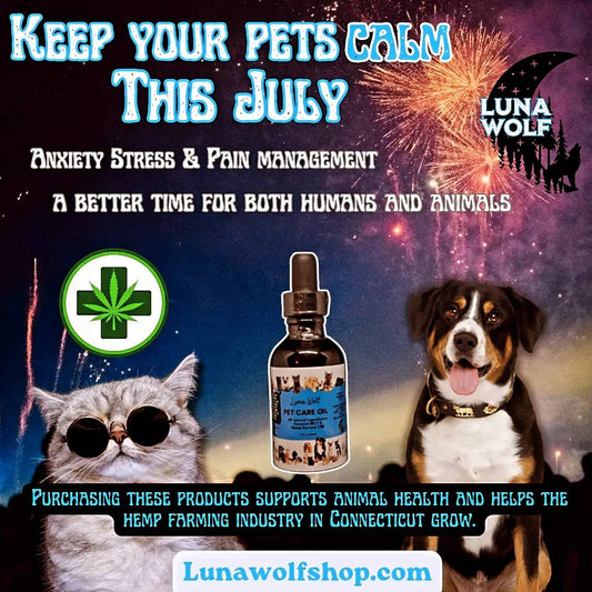CBD for Pets: A Natural Way to Soothe Anxiety 🐾💧