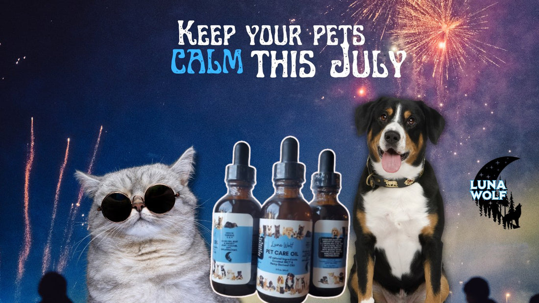 The Benefits of Using CBD Oil for Pets During Thunderstorm and Firework Season - Luna Wolf