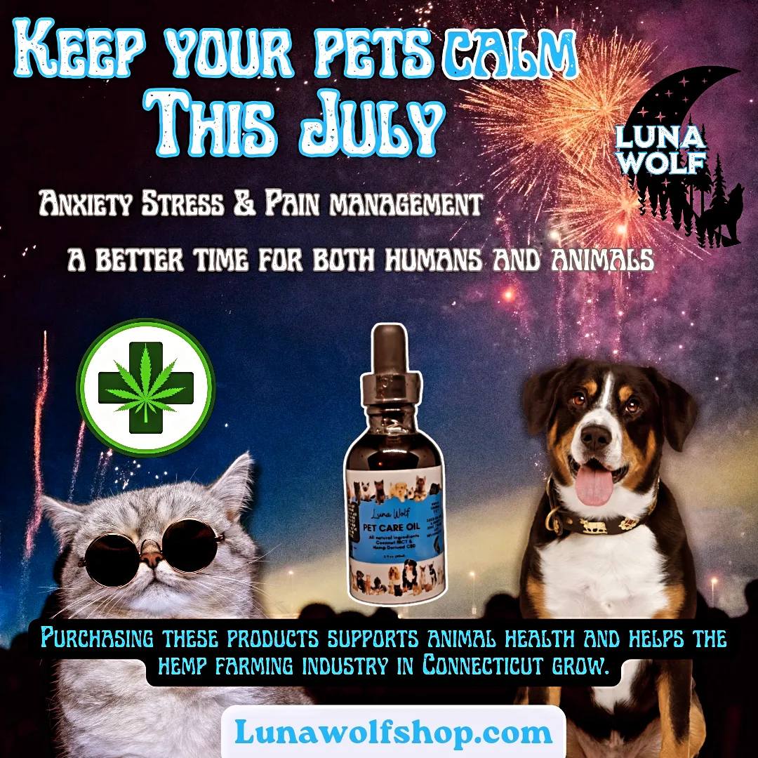 CBD for Pets: A Natural Way to Soothe Anxiety 🐾💧