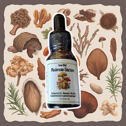 Unlock Nature’s Power: How Our Mushroom Tincture Supports Focus, Mood, Immunity & Wellbeing 🍄✨
