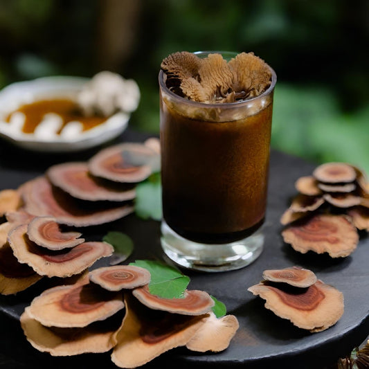 How to use our Mushroom Tincture for Mocktails - Luna Wolf